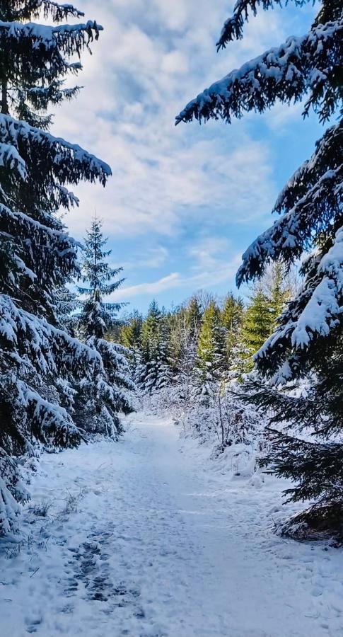 Apartman Lipno - Dve Zatoky Frymburk Bagian luar foto